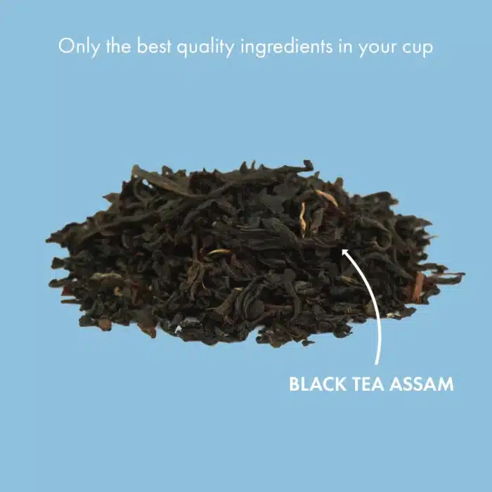 ALVEUS TEE Earl Grey BIO – Bild 2